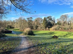 Images for Welwyn Garden City