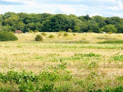Images for Aldenham Road