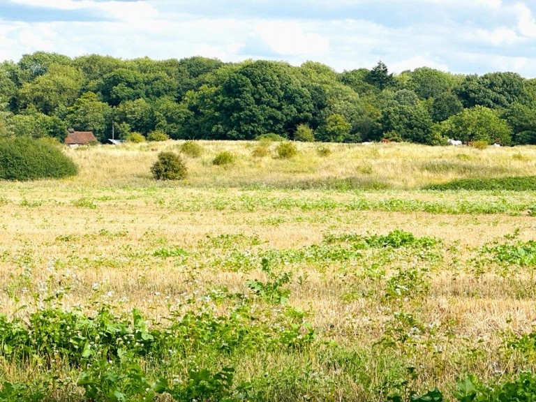Images for Aldenham Road EAID:1119467267 BID:LWT