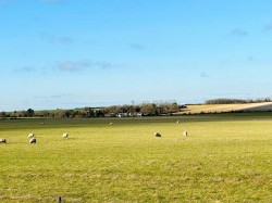 Images for Sandon, Buntingford