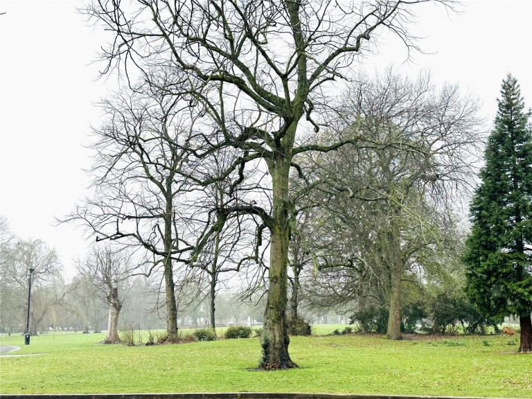 Images for Pearson Avenue, Hull EAID:1119467267 BID:LWT