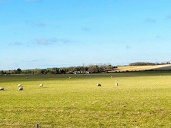 Images for Sandon