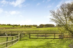Images for Thaxted, Essex