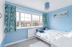 Images for Blackmore, Essex