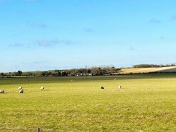 Images for Sandon